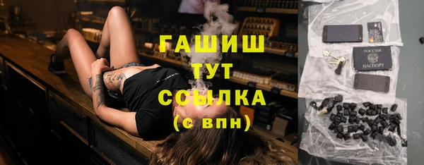 сатива Заводоуковск