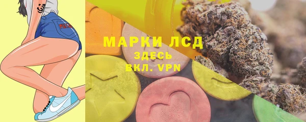 сатива Заводоуковск
