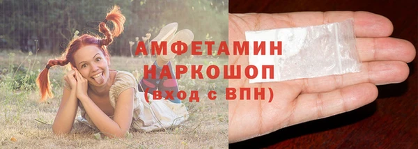 сатива Заводоуковск