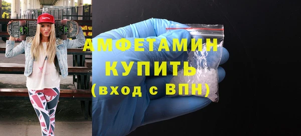 сатива Заводоуковск