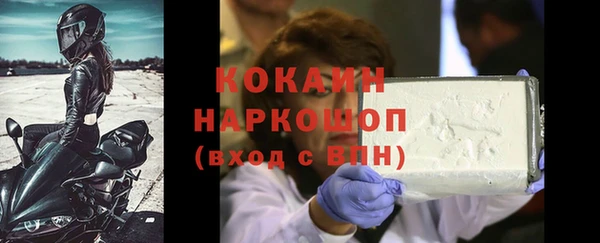 сатива Заводоуковск