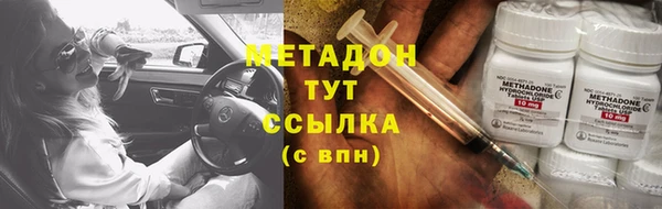 сатива Заводоуковск