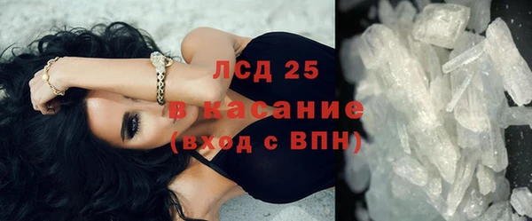 сатива Заводоуковск