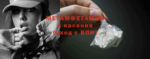 сатива Заводоуковск