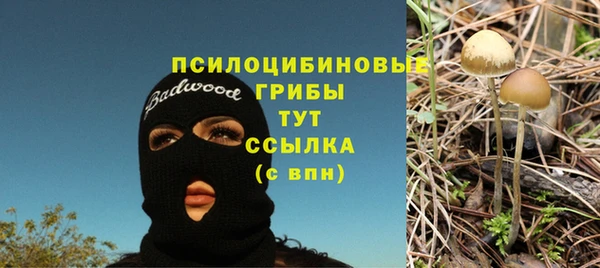 сатива Заводоуковск