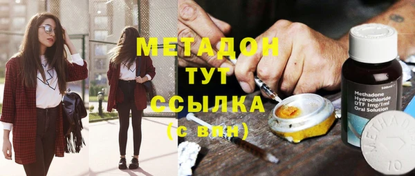 сатива Заводоуковск
