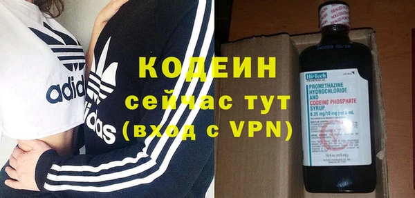 сатива Заводоуковск