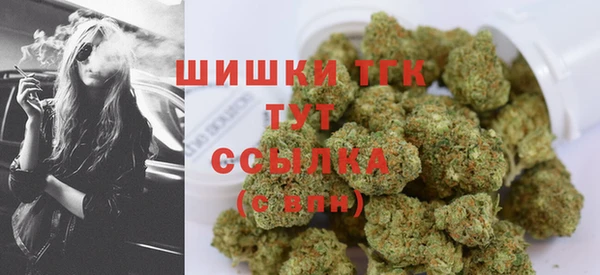 сатива Заводоуковск